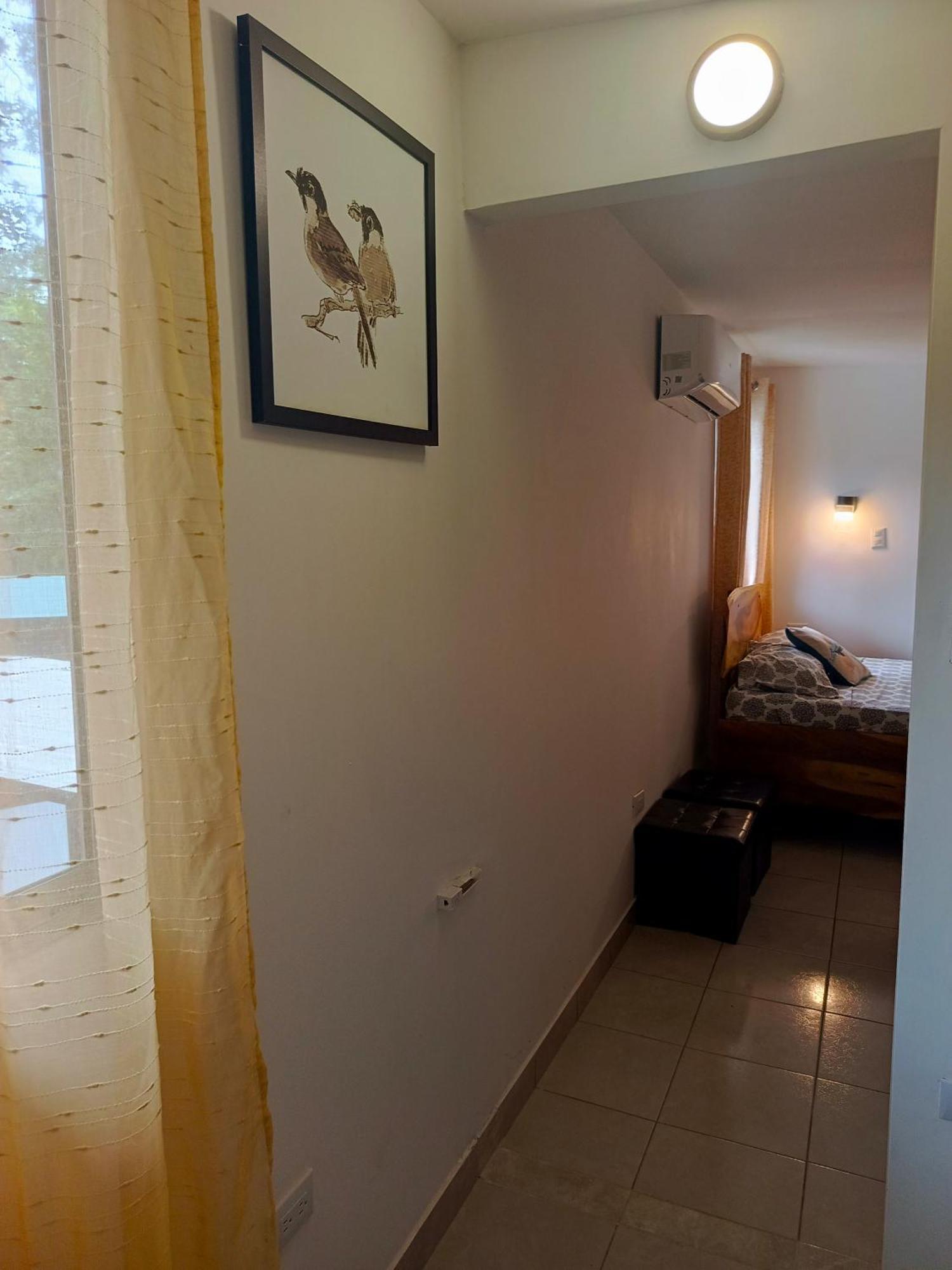 Hotel Boutique D Angelo Manzanillo  Eksteriør bilde