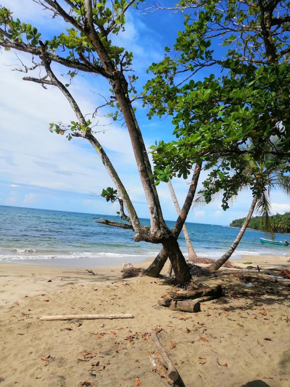Hotel Boutique D Angelo Manzanillo  Eksteriør bilde