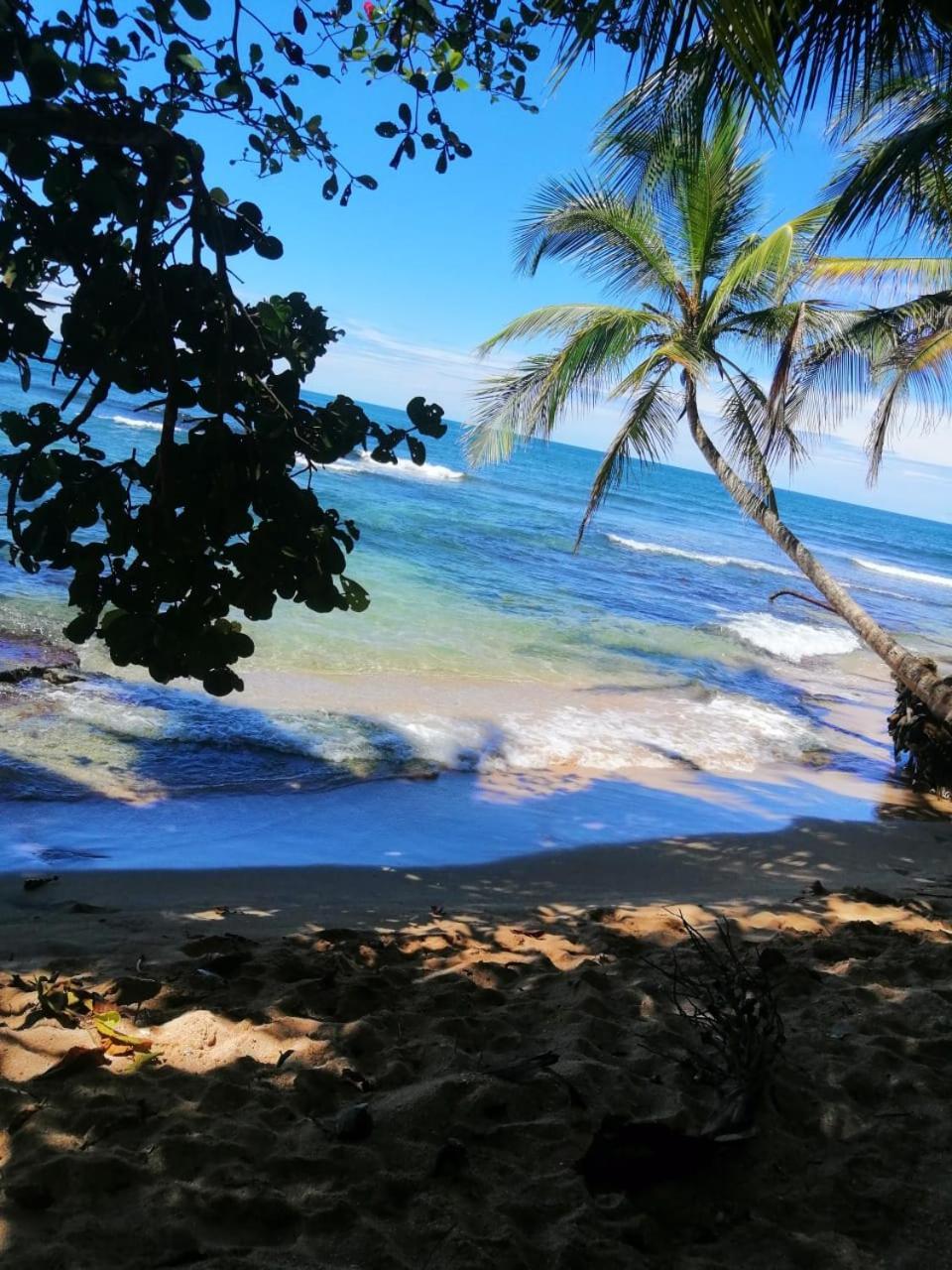 Hotel Boutique D Angelo Manzanillo  Eksteriør bilde